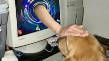 【幻境摆烂帖-改改4】不摆烂像有吗喽在身上爬