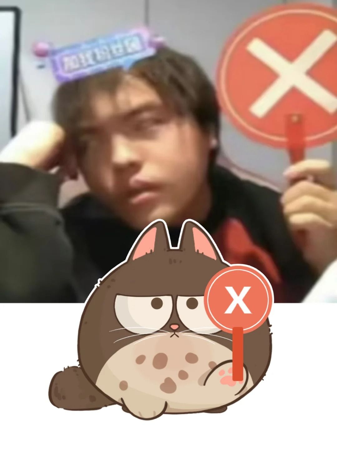 桃猫猫??发明这个表情包的人简直是个天才 1