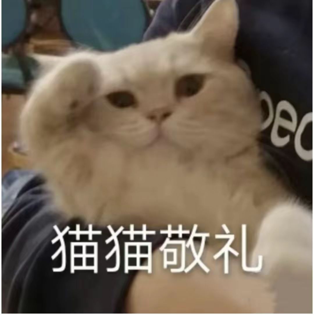 联盟突袭快到了 五级联盟收人 2