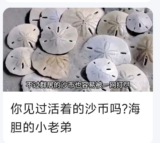 这次的活动道具这不是那个… 3