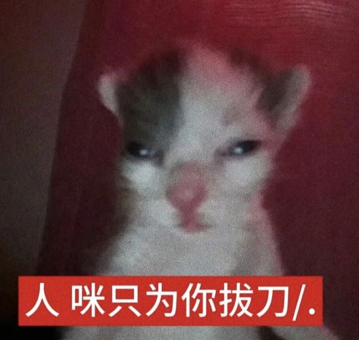 想入坑 1999截图