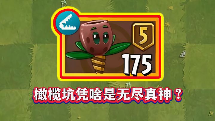 橄榄坑凭啥是“无尽竞速真神”？1-5阶实测截图