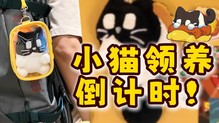 完蛋！我被小猫包围了！黄油猫周边众筹倒计时截图