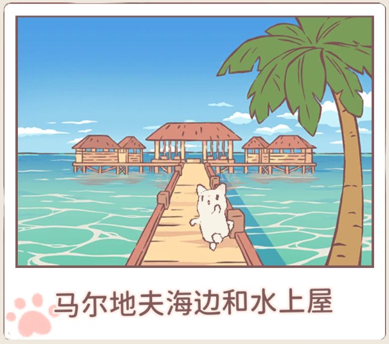 猫咪和汤 1