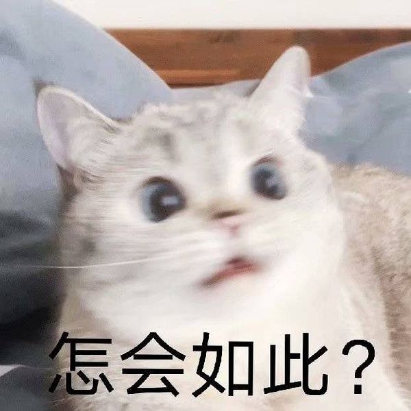 剧情这就没了！？ 2