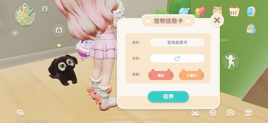 小狗的性格真的有影响吗 2