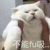 祖龙和叠纸,emmm…… 2