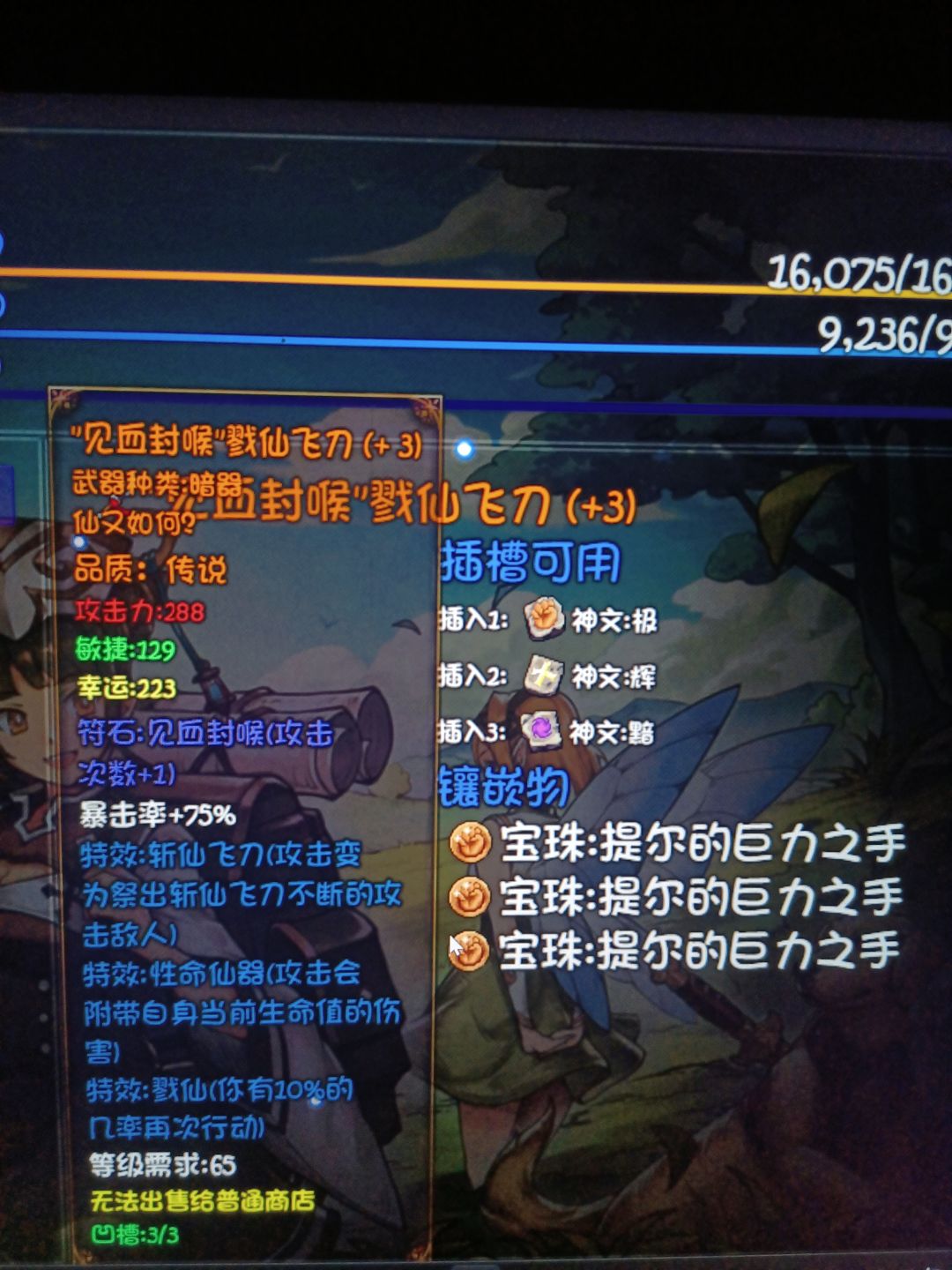 肥肠凯欣 1