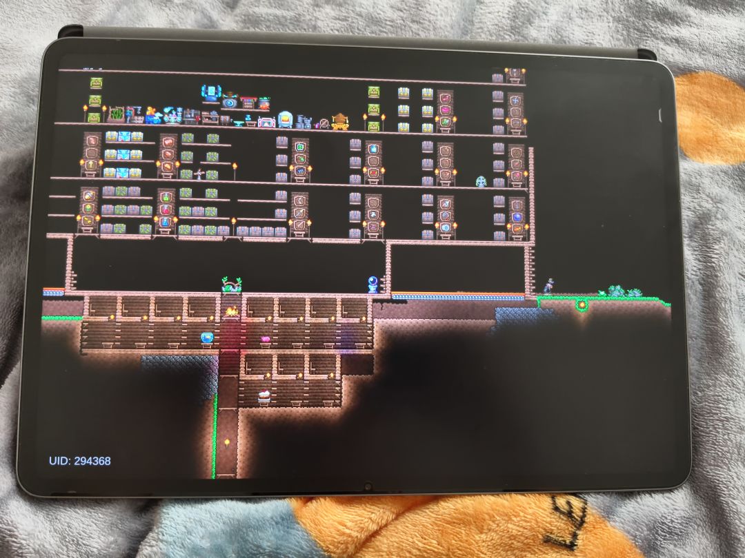 这是什么时候的Bug 1