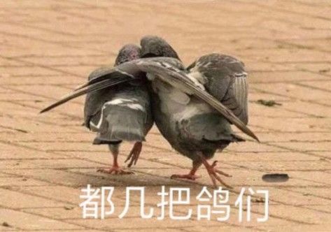 周赛太难打了 2