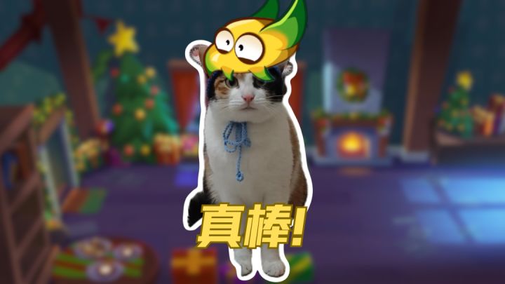 旋风黄龙果:不是这个就是那个截图
