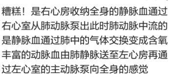 常用物品id宝藏袋id泰拉官方网址，指令相关