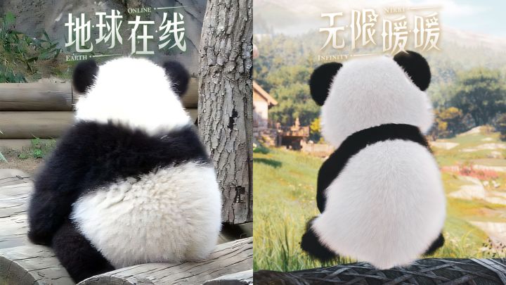 无限暖暖热门生物鉴定③——大熊猫截图