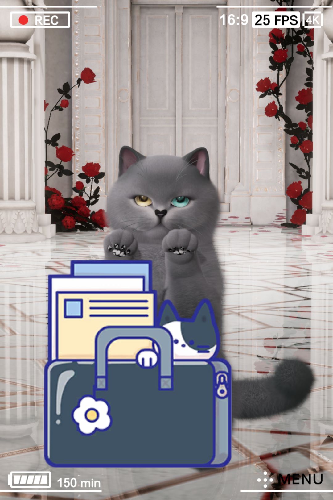 挑战全网最智慧小猫 2