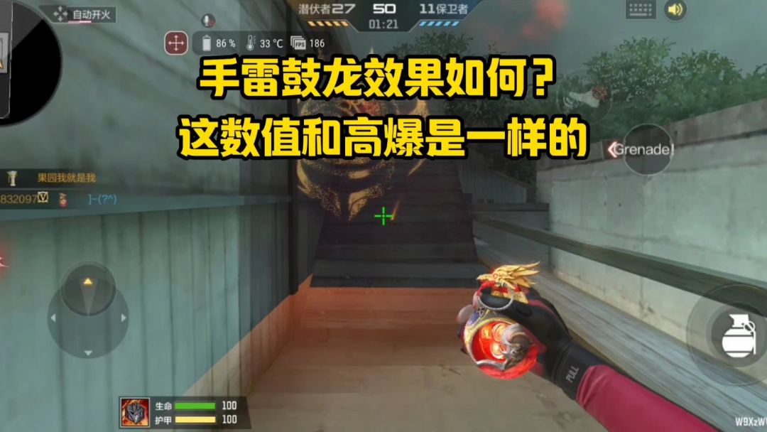 video-4737859