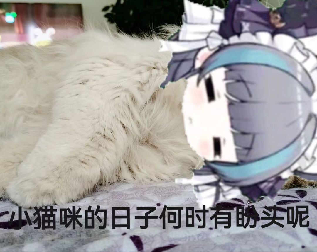 【冒险小月鸽】又是对大佬战力兴叹的一天 2