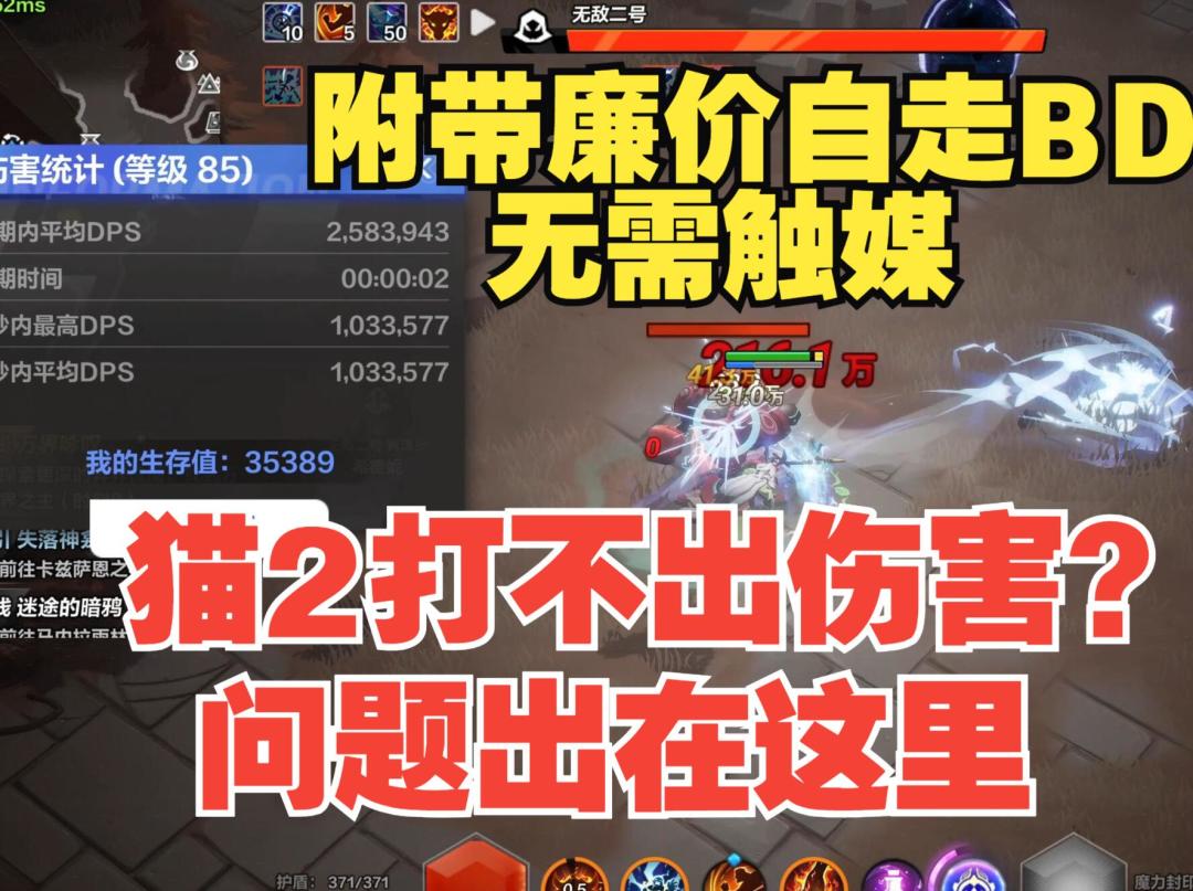 video-4053231