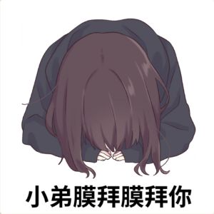 你们表情包写了啥 1