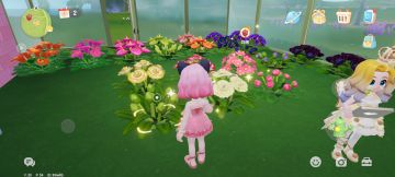 园艺：花杂交规律；花可收回重复种植