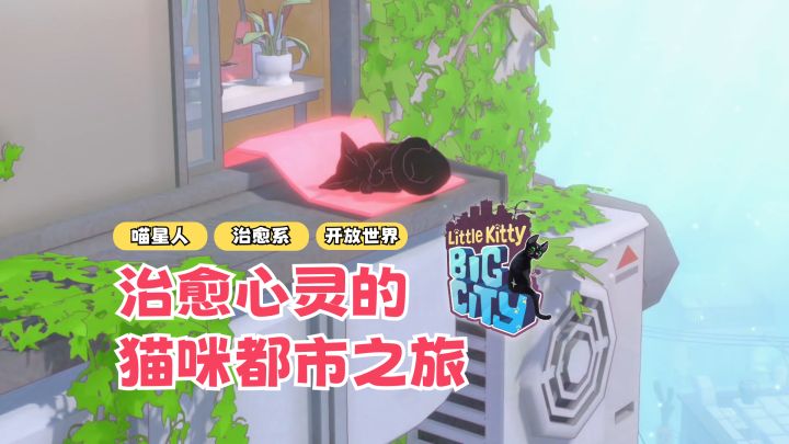 小猫咪大都市,一起来做喵星人🐱|游戏评测|游戏资讯|游戏眼截图