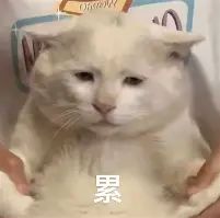 游戏里遇到的暧昧对象真的能处吗?截图