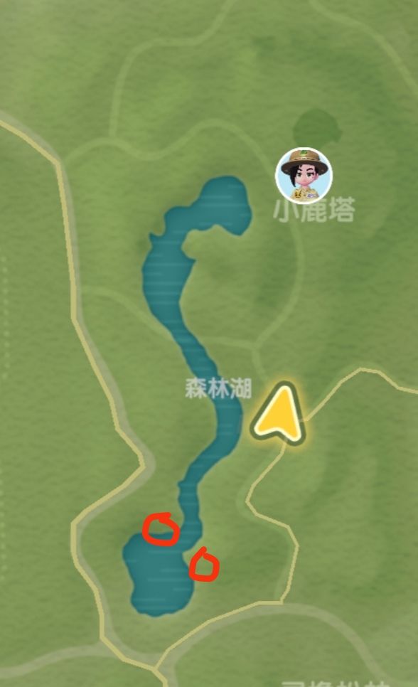 萤火虫我终于找到你了! 2