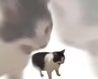 有没有游戏搭子 1