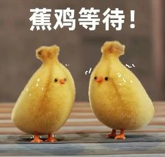 关于【跨服组队】的意见征集~~快来给穆嘉留言吧！