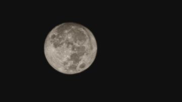 武当禁地剑流派作业