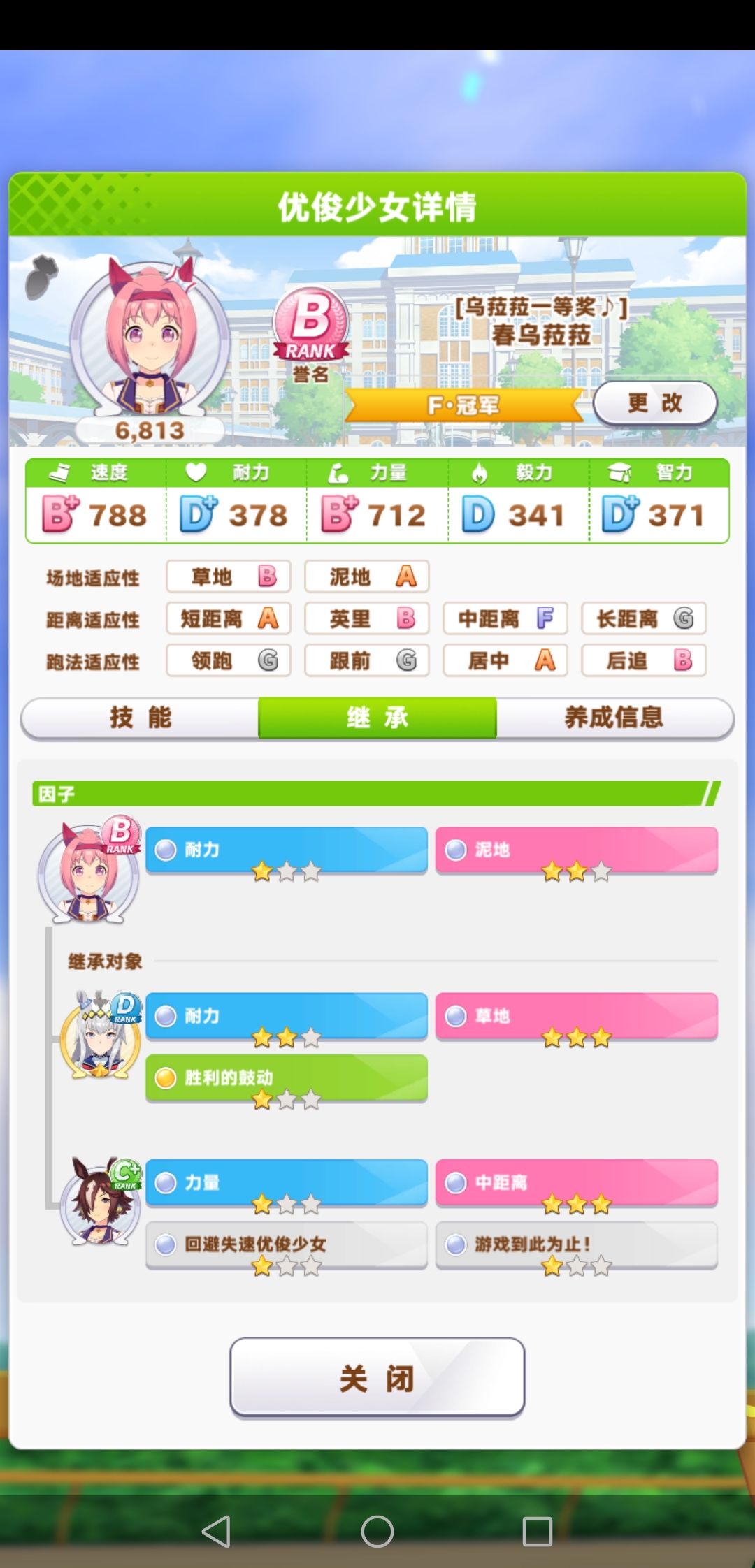 养个草地乌拉拉 1