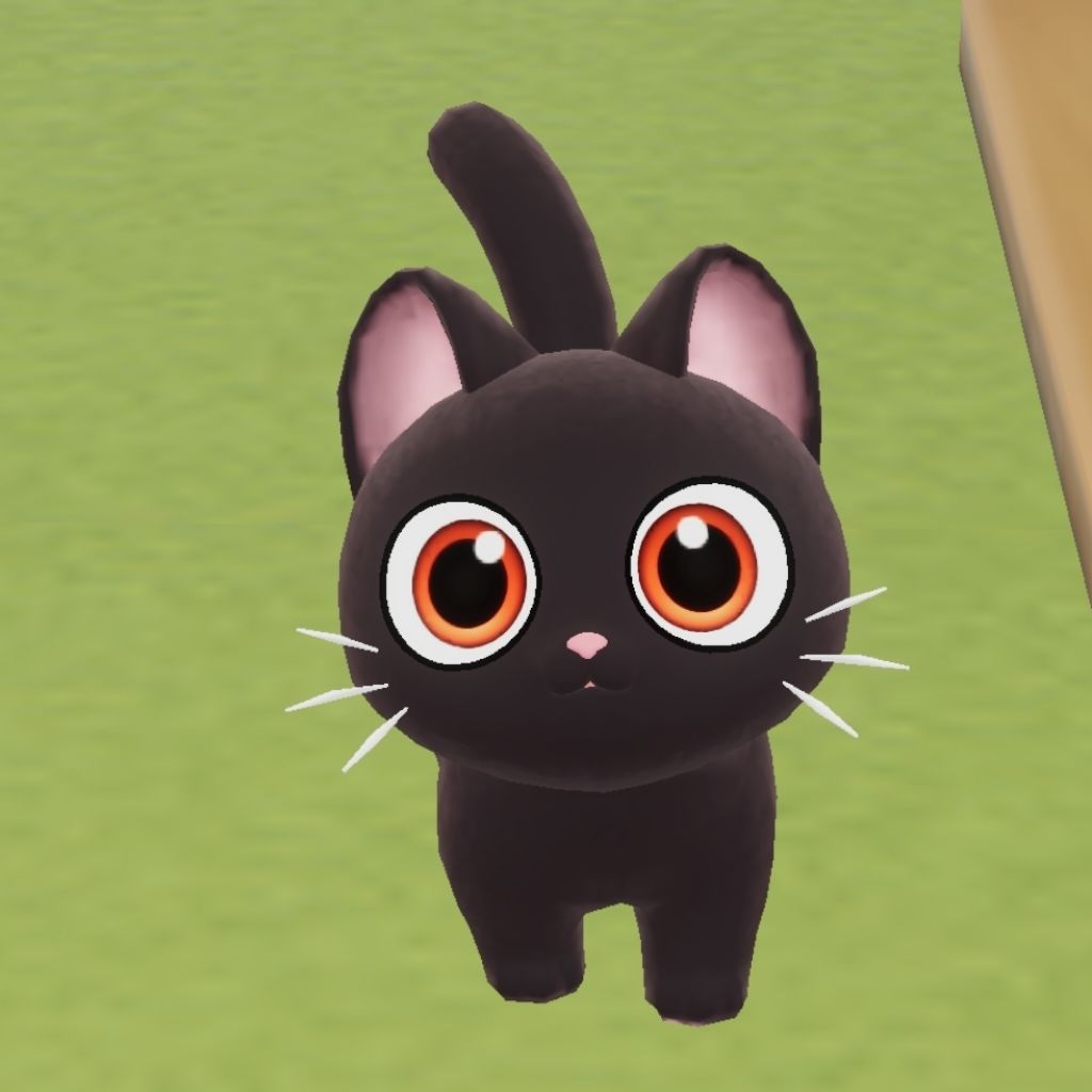 让我猜猜你们家猫猫宝宝们滴名字吧！！ 3