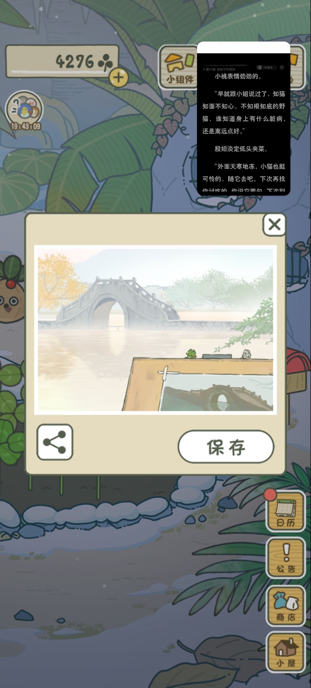 蛙儿子们旅行回来了 12