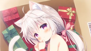 imd压血教导魔导配置分享