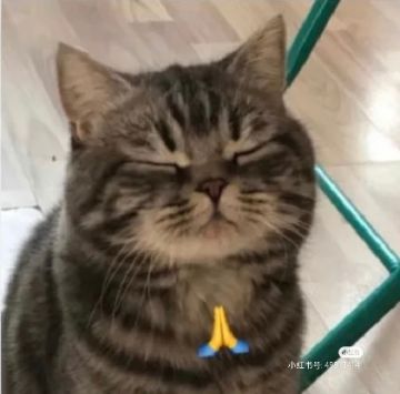 真不理解让屯银龙屯九州的人