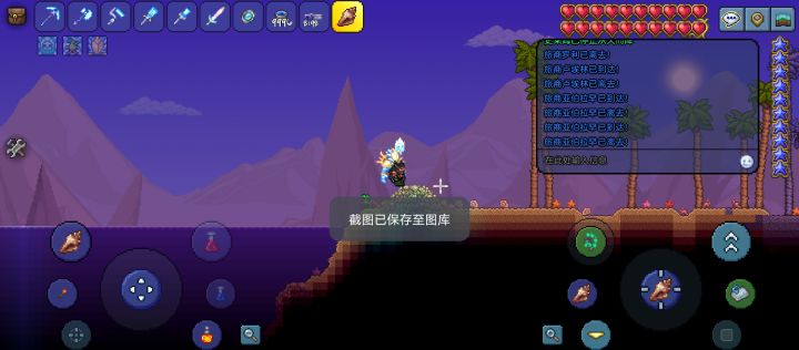 所以旅商真的卖加长握把吗截图