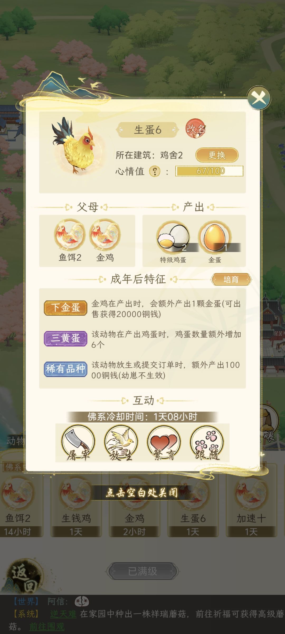 养那种鸡划算 1