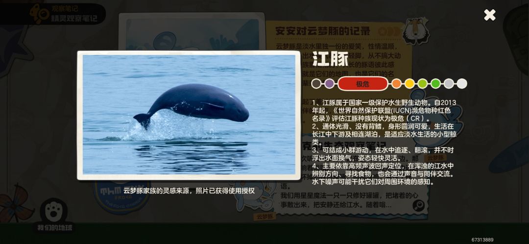 很喜欢这类活动,照片很好看很感动 1