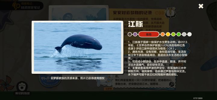 很喜欢这类活动,照片很好看很感动截图