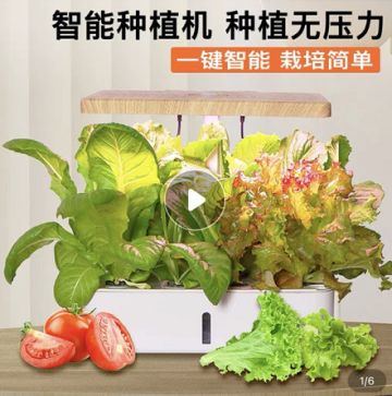 【公告】中秋三测玩家招募（已结束，等待抽奖）