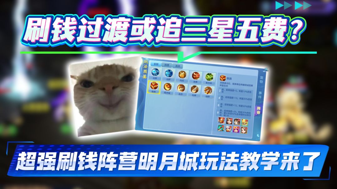 video-5781869