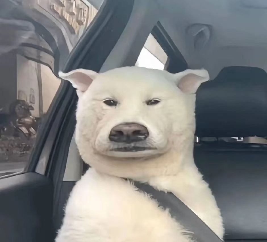 所以你们玩的是tap版还是群版啊 1