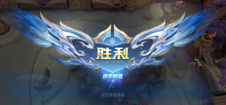 有点无语的队友截图