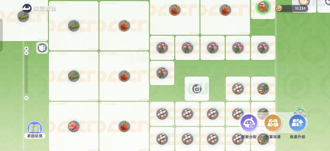 8级家园分享 1