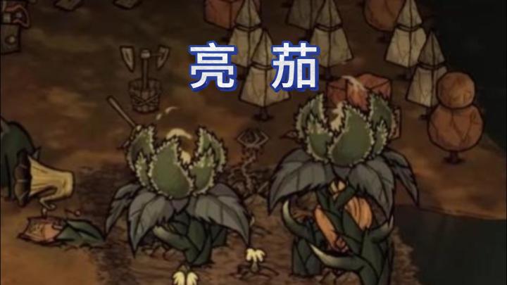 关于我田里的植物会动这件事(截图