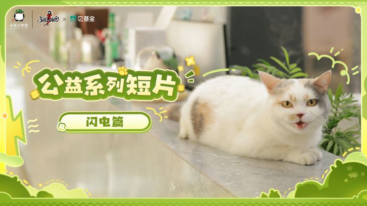 不走散（闪），点（电）亮爱！流浪动物公益短片「闪电篇」截图