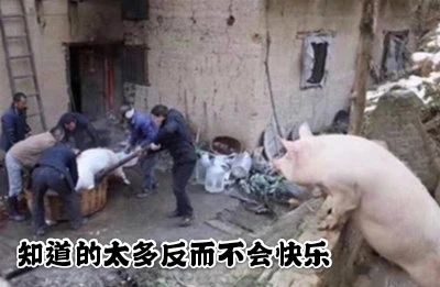 不懂就问 1
