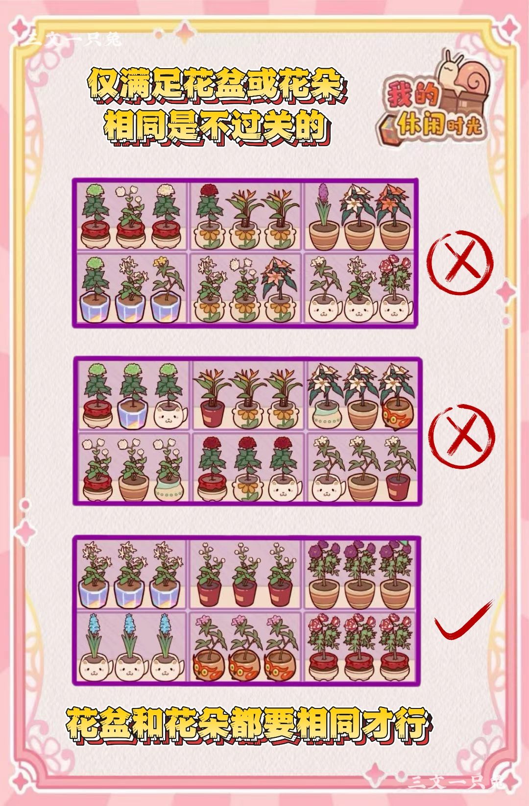 📚邵义的花架整理秘籍大公开?! 3