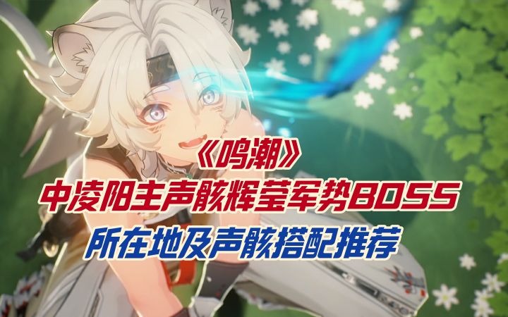《鸣潮》中凌阳主声骸辉莹军势BOSS所在地及声骸搭配推荐截图