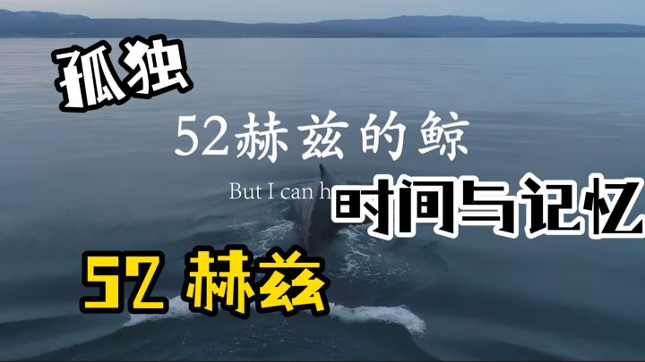 孤独频率藏真相！冰雪小镇推理，每步都像读扎心小说～截图