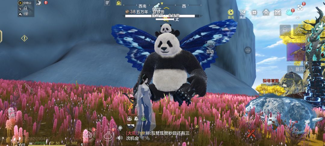 wx周年庆区有人带吗,不会玩 1